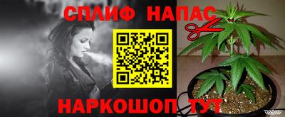 ГАЛЛЮЦИНОГЕННЫЕ ГРИБЫ Бузулук