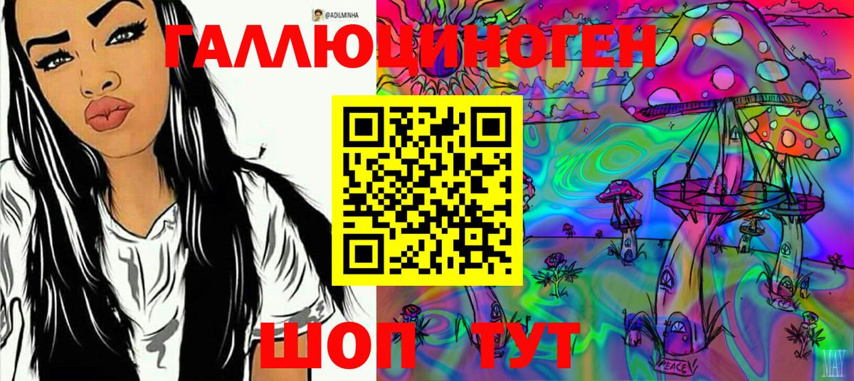 Псилоцибиновые грибы Psilocybe Коломна