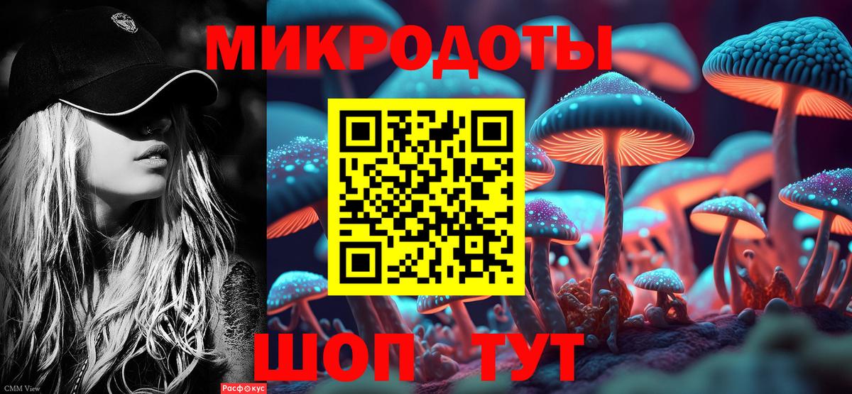 где найти   Псилоцибиновые грибы прущие грибы  Галлюциногенные грибы Psilocybine cubensis  Вход с VPN  Коломна 